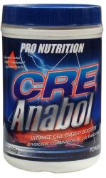 Pro Nutrition CreAnabol 500 g