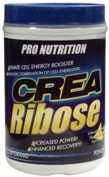 Pro Nutrition Crea Ribose 250 g