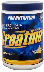 Pro Nutrition Creatine 600 g