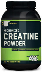 Optimum Nutrition Creatine Powder 1200 g