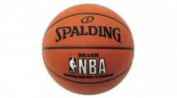 Spalding NBA Silver In/Out 7