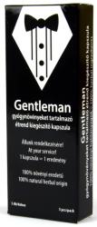 Gentleman 5db