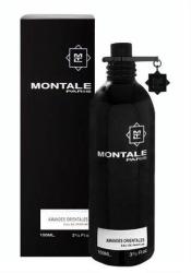 Montale Amandes Orientales EDP 100 ml