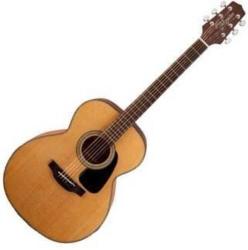 Takamine GN10-NS