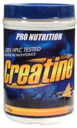 Pro Nutrition Creatine 250 g