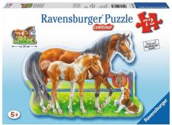 Ravensburger 05584 Cai Veseli 72