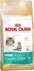 Royal Canin FBN Kitten Maine Coon 36 10 kg