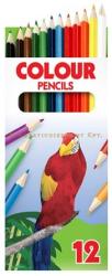 ICO Színes ceruza Papagáj 12 db (TICSZCP12)