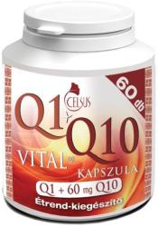 Celsus Q1+Q10 Vital 60 db