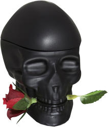 ED HARDY by Christian Audigier Skulls & Roses for Men EDT 100 ml
