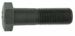  hatlapfejűcs 10.9 m18x 90 natur rm din-931