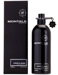Montale Greyland EDP 100 ml