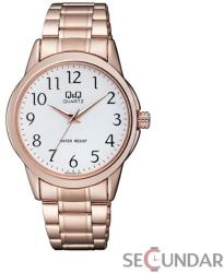Q&Q Q860J004Y Ceas
