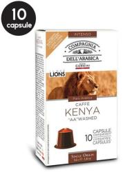 Caffe Corsini Kenya AA Washed (10)