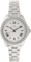 Fossil Cecile AM4576
