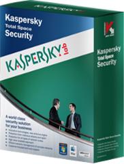 Kaspersky Total Security for Business (25-49 Device/1 Year) KL4869OAPFS