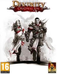 Larian Studios Divinity Original Sin (PC)