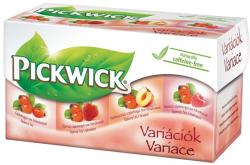 Pickwick Csipkebogyó Variációk 20 filter