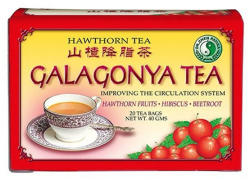 Dr. Chen Patika Galagonya Tea 20 filter