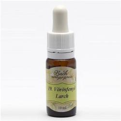 Bach Vörösfenyő Virágeszencia 10ml