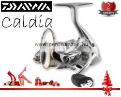 Daiwa Caldia 2500A (10412-252)