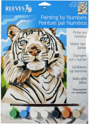 Reeves Festés számok szerint - Fehér tigris (PPNJ66)