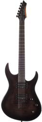 Washburn XMPRO2