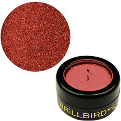 BrillBird - Micro Glitter - 11