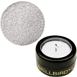 BrillBird - Micro Glitter - 4