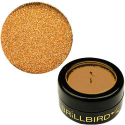 BrillBird - Micro Glitter - 12