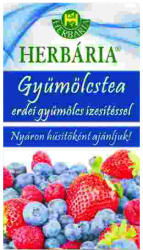 Herbária Gyümölcstea Erdei Gyümölcsös 120 g