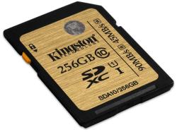 Kingston SDXC 256GB Class 10 UHS-I SDA10/256GB