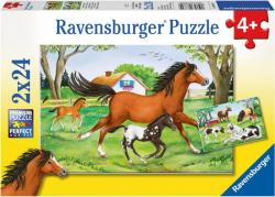 Ravensburger Lovak világa 2x24 db-os (08882) (34065)