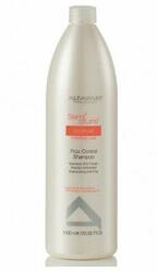 ALFAPARF Milano Semi di Lino Discipline Frizz Control sampon 1 l