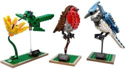 LEGO® Ideas - Madarak (21301)