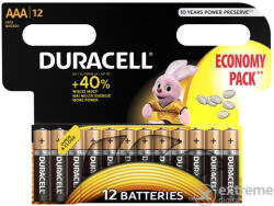 Duracell Basic DuraLock Alkaline AAA (12) (10PP100006)