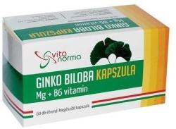 Vitanorma Ginko Biloba Mg+B6-vitaminnal kapszula 60 db