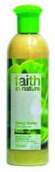Faith in Nature Ginkgo Biloba Balzsam 250 ml