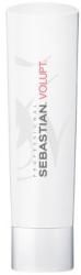 Sebastian Professional Volupt 250 ml