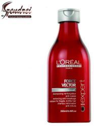 L'Oréal Expert Force Vector sampon 250 ml