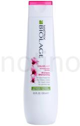 Matrix Biolage Color Last sampon festett hajra (Orchid Shampoo for Colour-Treated Hair) 250 ml