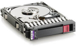 HP 3.5 300GB SAS 737390-B21