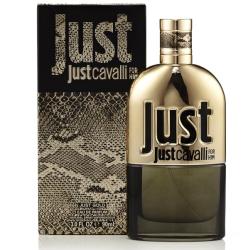 Just Cavalli Just Gold for Him EDP 90 ml