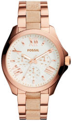 Fossil Cecile AM4622