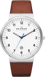 Skagen SKW6082 Ceas