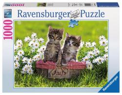 Ravensburger Piknik a réten 1000 db-os (19480)