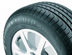 Goodyear EfficientGrip 225/55 R19 99V