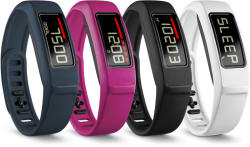 Garmin VivoFit 2