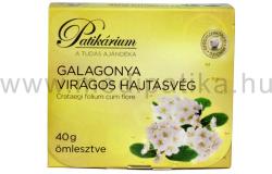Patikárium Galagonya Tea 40 g
