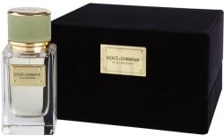 Dolce&Gabbana Velvet Bergamot EDP 50 ml